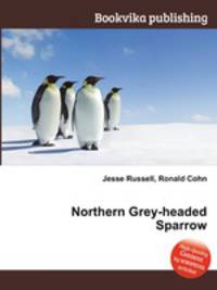 Northern Grey-headed Sparrow