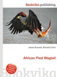 African Pied Wagtail