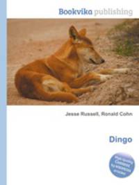 Dingo