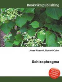 Schizophragma