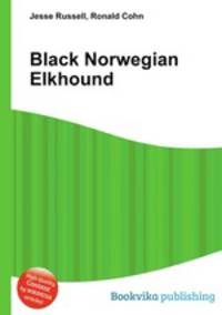 Black Norwegian Elkhound