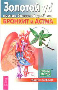 Золотой ус против болезней дыхания. Бронхит и астма - (Кладовые природы)