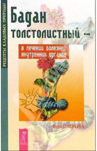 Бадан толстолистный в лечении болезней внутренних органов - (Рецепты кладовых природы)