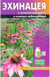 Эхинацея в лечении вирусных и кожных заболеваний