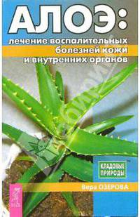 Алое: лечение восполительных болезней кожи и внутренних органов