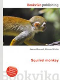 Squirrel monkey