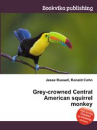 Grey-crowned Central American squirrel monkey