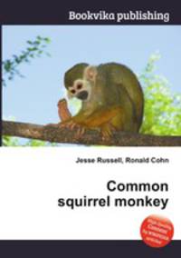 Common squirrel monkey