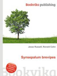 Synsepalum brevipes
