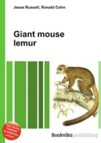 Giant mouse lemur
