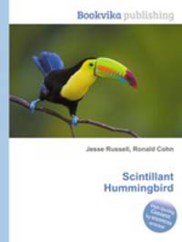 Scintillant Hummingbird