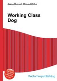 Working Class Dog