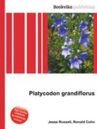 Platycodon grandiflorus