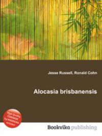 Alocasia brisbanensis