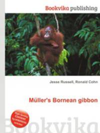Mller`s Bornean gibbon