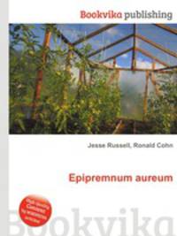 Epipremnum aureum