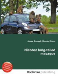 Nicobar long-tailed macaque
