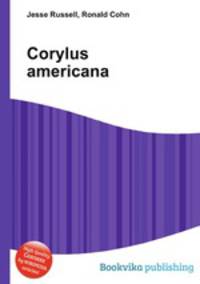 Corylus americana