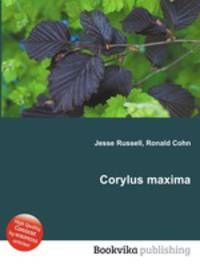 Corylus maxima