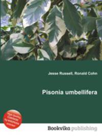 Pisonia umbellifera