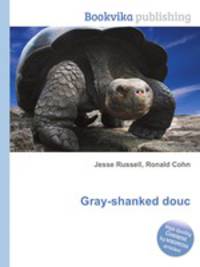 Gray-shanked douc