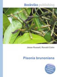 Pisonia brunoniana