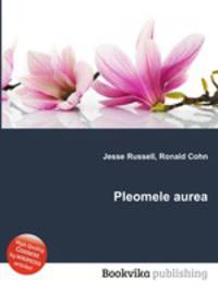 Pleomele aurea