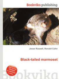 Black-tailed marmoset
