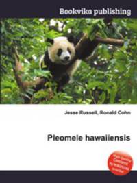 Pleomele hawaiiensis