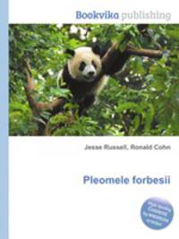 Pleomele forbesii