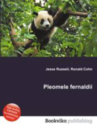 Pleomele fernaldii