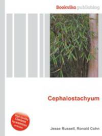 Cephalostachyum