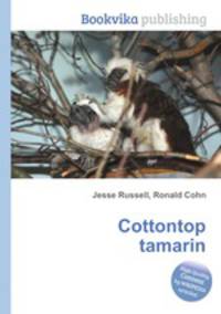 Cottontop tamarin