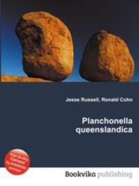 Planchonella queenslandica