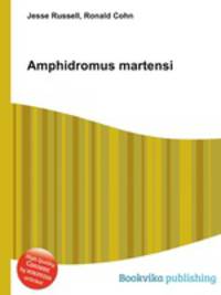 Amphidromus martensi