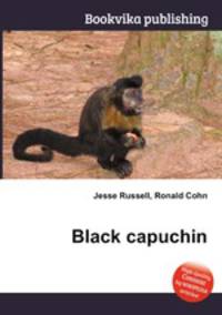 Black capuchin