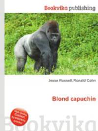 Blond capuchin