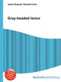 Gray-headed lemur