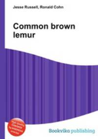 Common brown lemur