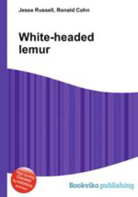 White-headed lemur