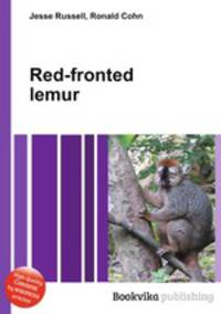 Red-fronted lemur