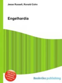 Engelhardia