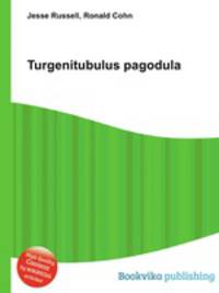 Turgenitubulus pagodula