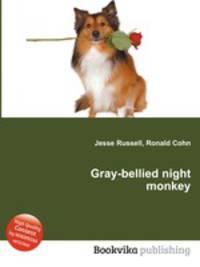 Gray-bellied night monkey