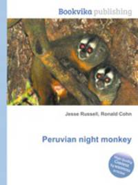 Peruvian night monkey
