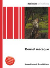 Bonnet macaque