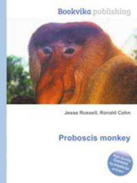 Proboscis monkey