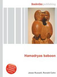 Hamadryas baboon