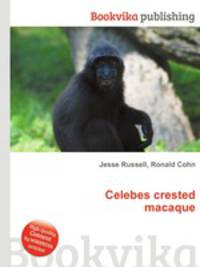 Celebes crested macaque