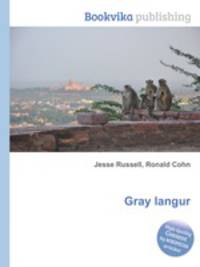 Gray langur